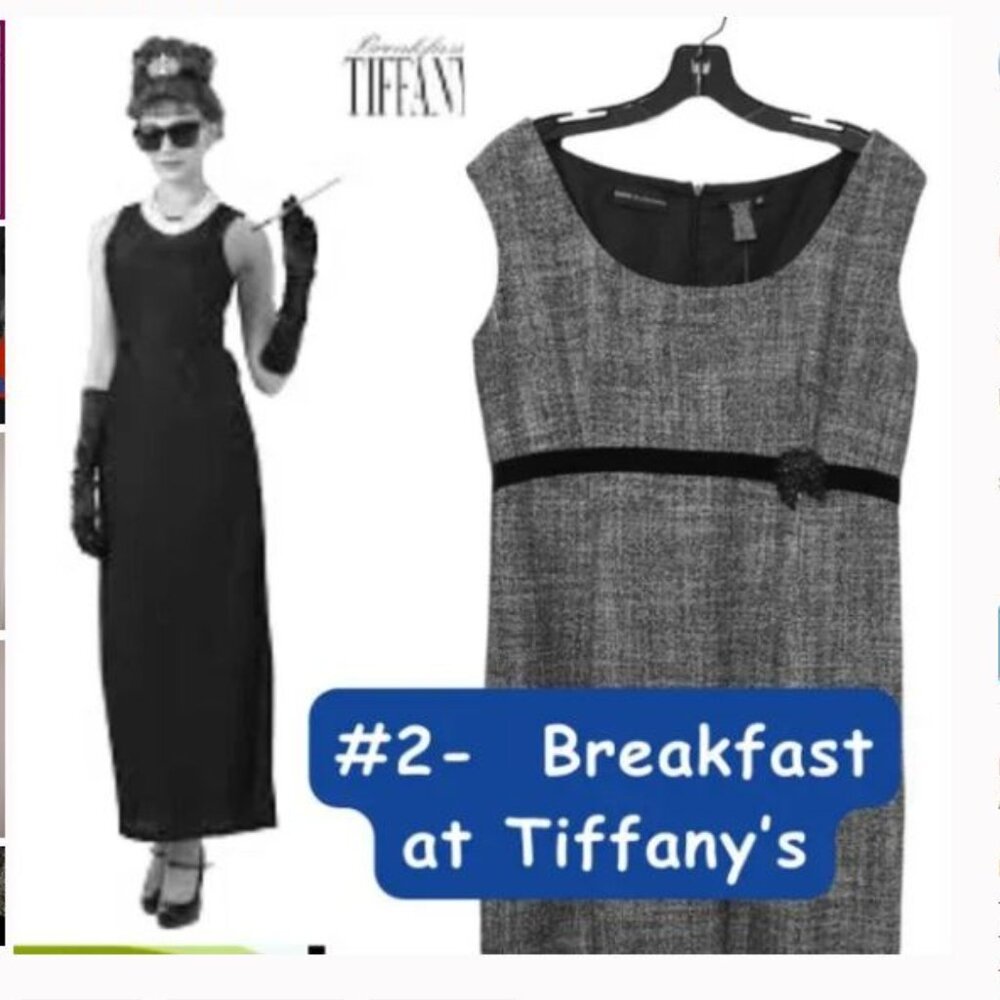Costume Idea- Audrey Hepburn inspired DRESS!- Dana Buchman Sheath Dress (NEW)